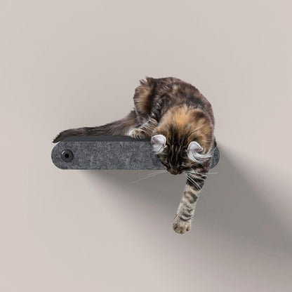 Wall Mounted Cat Steps Short Shelves by Pryde Pets by PrydePets