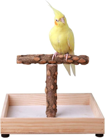 Bird Stand Tabletop, Portable Tee Stand, Parrot Play Stand Perch Gym by KINTOR