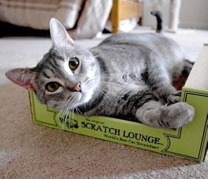 Scratch Lounge Cardboard Cat Scratcher & Lounger - Image 7