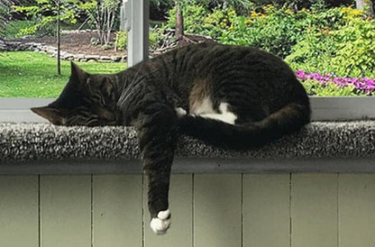 Purrched Cat Window Perch - Image 4