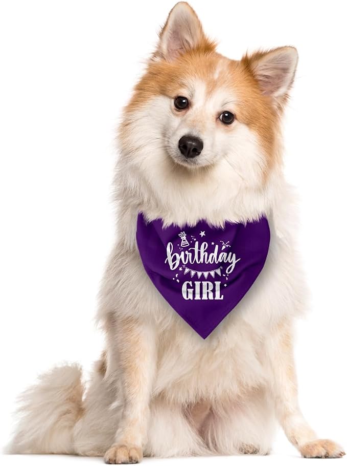 Birthday Girl Dog Bandana - Image 2