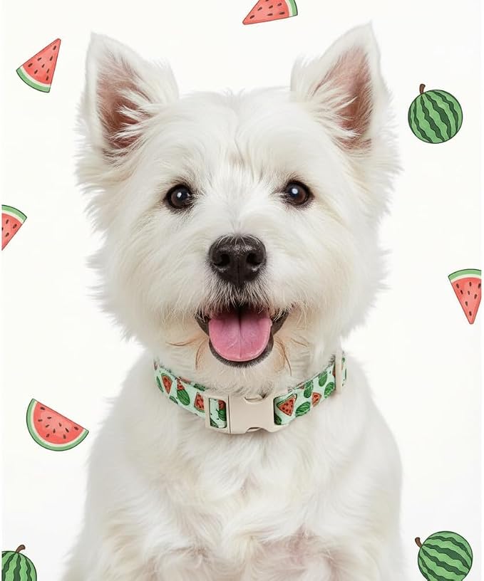 Summer Dog Collar for Medium Dogs, Cute Dog Collar - Image 7