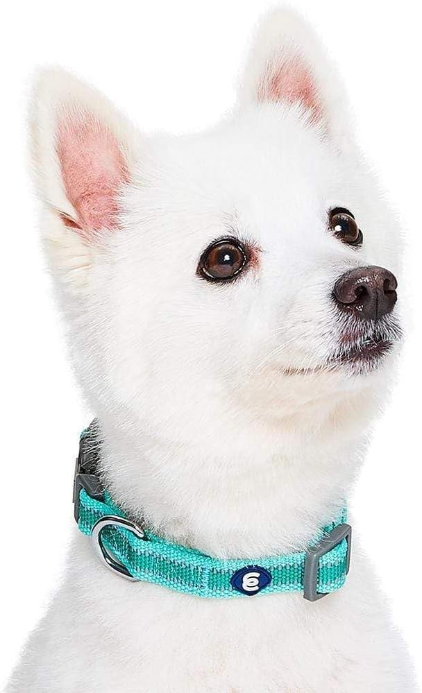 Blueberry Pet Essentials Matching Large Dog Collar | Adjustable Classic Solid - Image 3