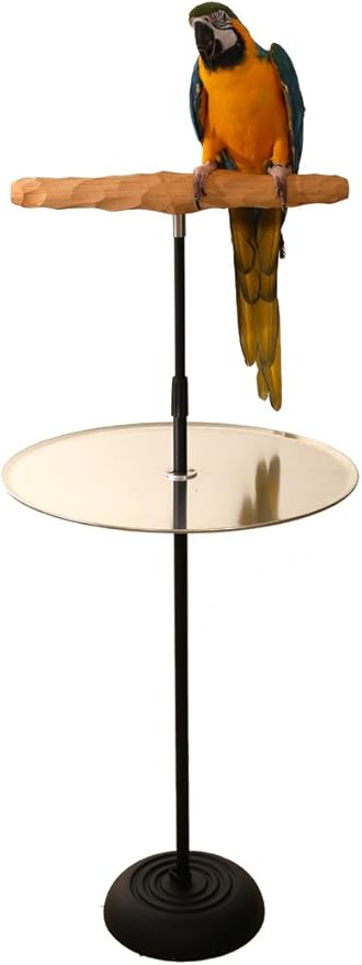 Parrot Training Perch Stand - Image 7