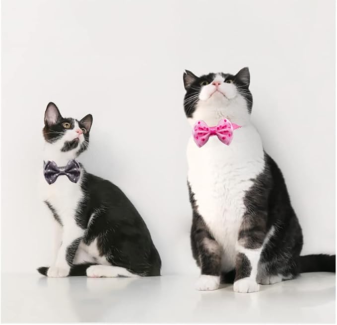 18Pcs Puppy Collars, Cat ID Collars - Image 6