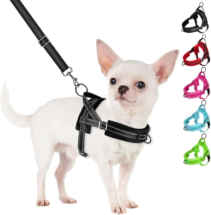 SlowTon No Pull Small Dog Harness and Leash Set, Puppy Soft Vest Harness Neck & by SlowTon