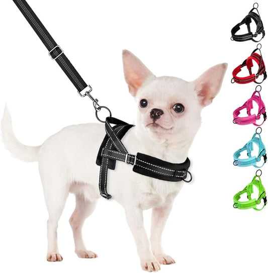 SlowTon No Pull Small Dog Harness and Leash Set, Puppy Soft Vest Harness Neck & by SlowTon