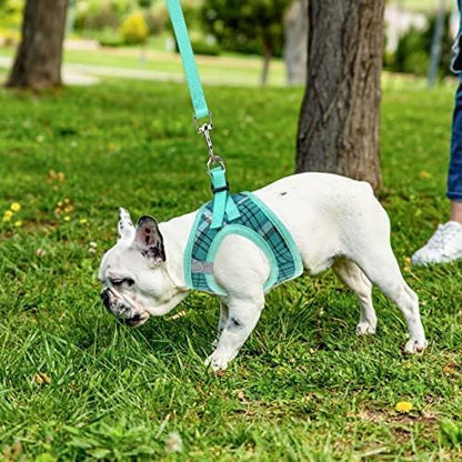 PUPTECK Adjustable Dog Harness Collar and Leash Set Step in No Pull Pet Harness - Image 8