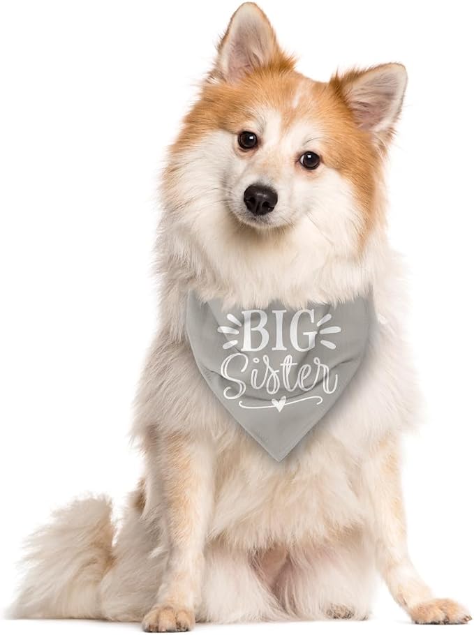 Big Sister Dog Bandanas, Light Gray Dog Bandana, Pet Triangle Scarf Accessories - Image 2