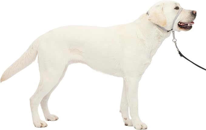 PetSafe Gentle Leader Headcollar by PetSafe