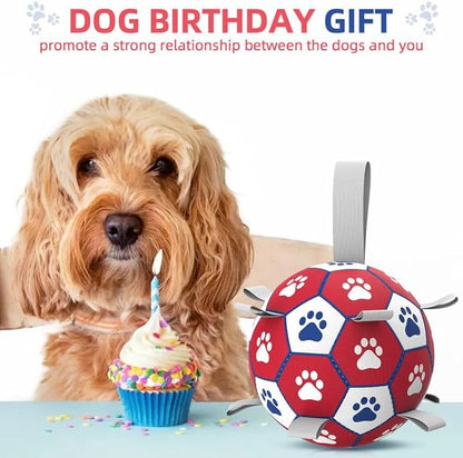 Diman Dog Balls, Dog Soccer Ball - Image 5