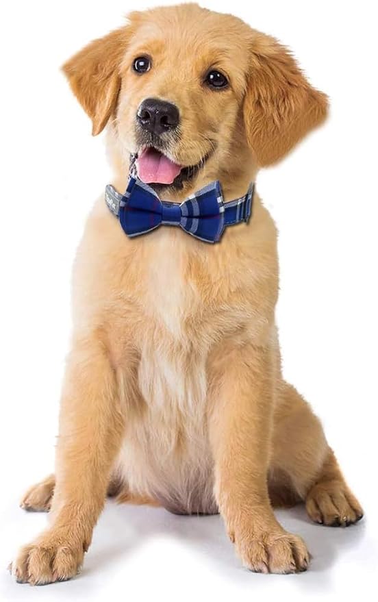 Yizepet Dog Collar with Bow Tie- Adjustable pet Collar - Image 5