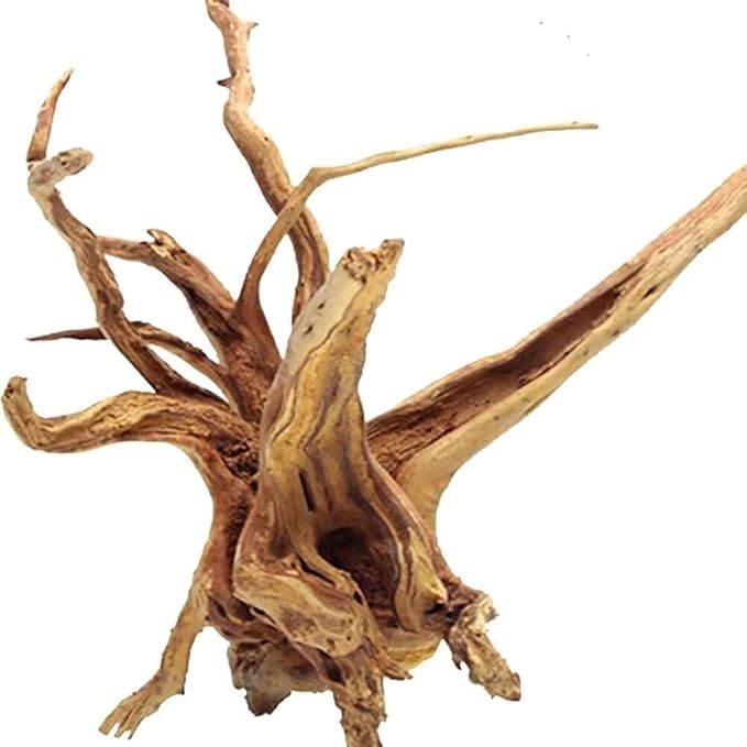 Jorewood Natural Large Spiderwood Driftwood by JOREWOOD