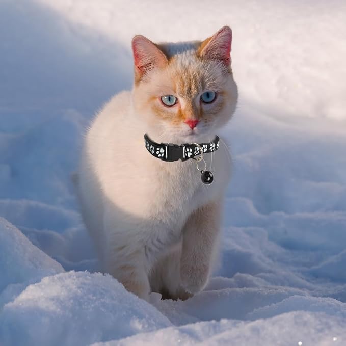MJIYA Cat Collar with Bell, Breakaway Grid Collar with Plastic Buckle, Light - Image 5