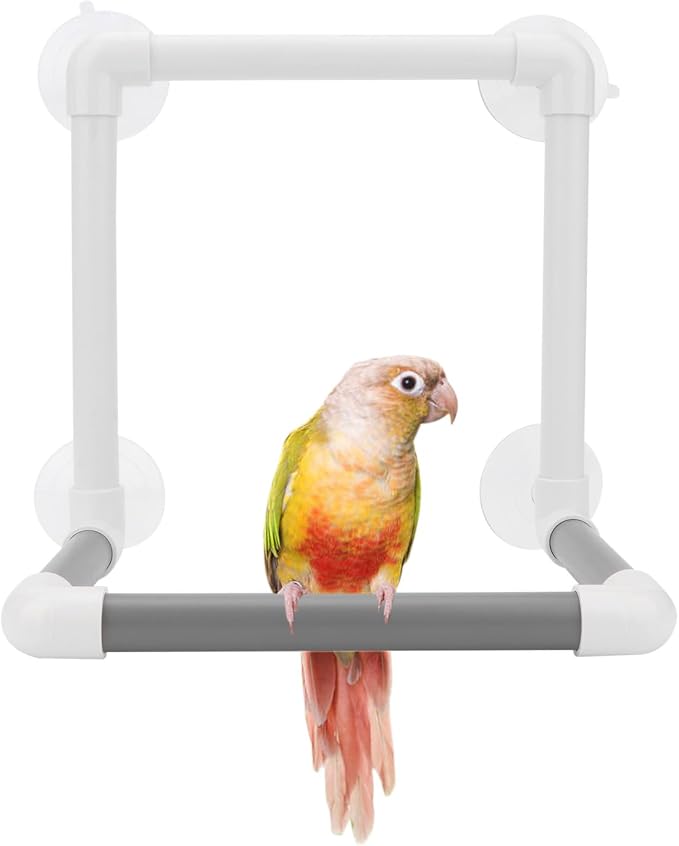 Hypeety Bird Portable Suction Cup Parrot Shower Perch Window Standing Platform by Hypeety