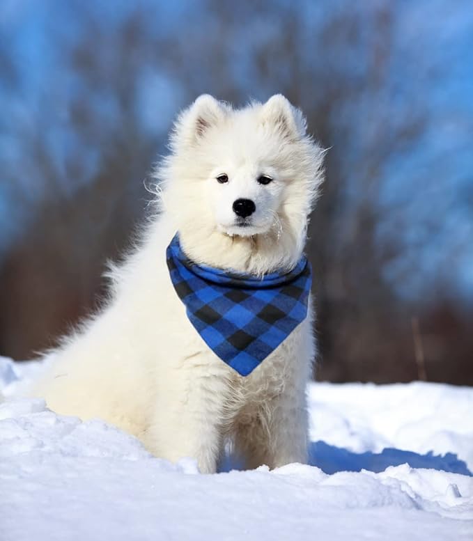 Birthday Plaid Dog Bandana - Image 5