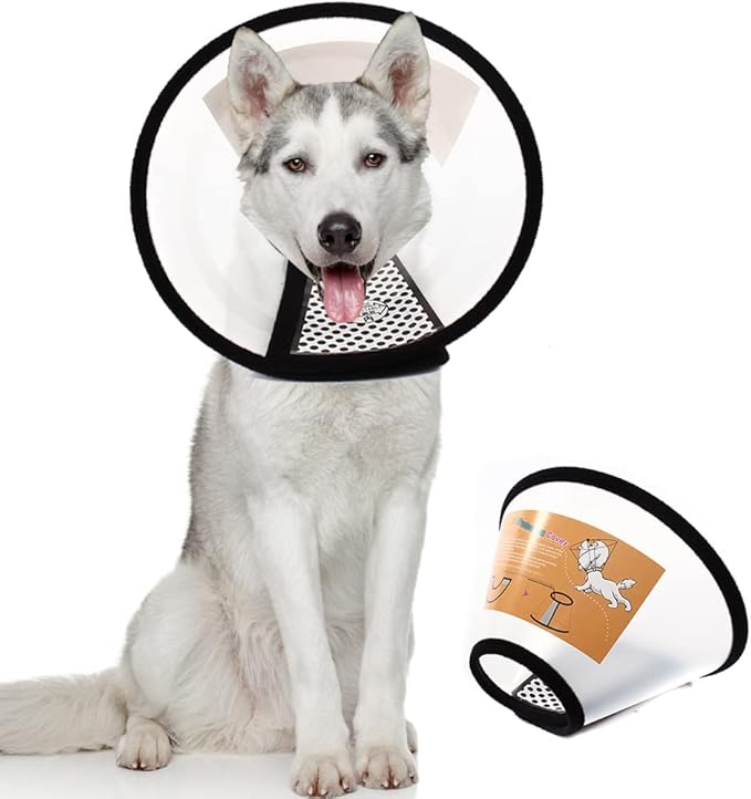 Plastic Pet Recovery Collars & Cones by QIYADIN