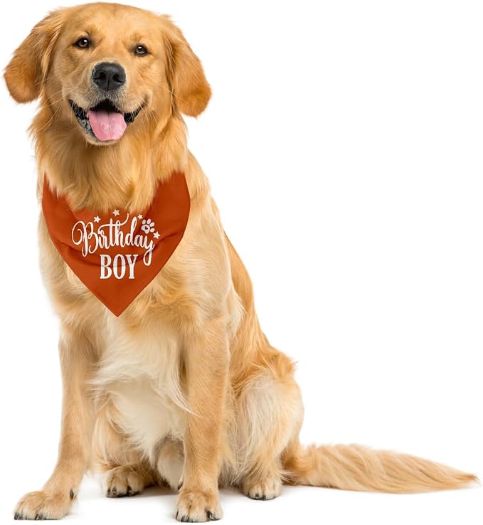 Birthday Boy Dog Bandanas - Image 4