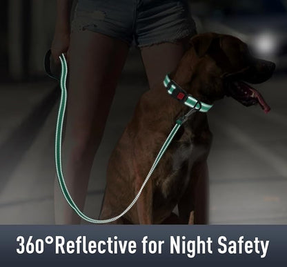 Airtag Dog Collar with AirTag Holder - Image 4