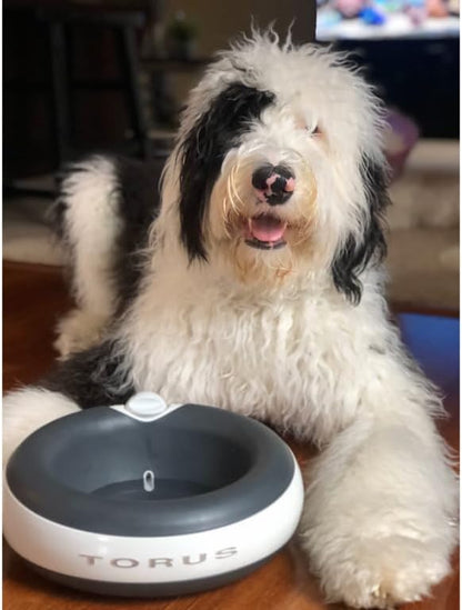 Filtered Portable Dog Water Dispenser, 2L / 68oz, Automatic Pet Water Dispenser - Image 2