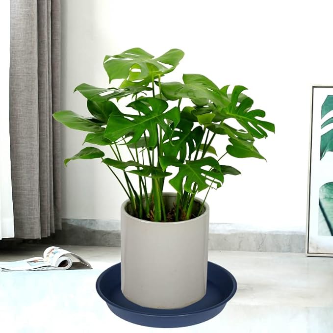 4 Pack of 14 inch Plant Saucers Bird Bath Bow Round, Plastic Plant Saucer Tray - Image 3