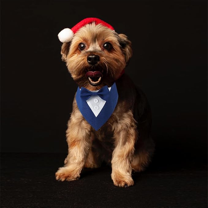 Dog Wedding Bandana, Formal Dog Tuxedo Adjustable Pet Collar - Image 7