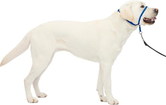 PetSafe Gentle Leader Headcollar No-Pull Dog Collar by PetSafe