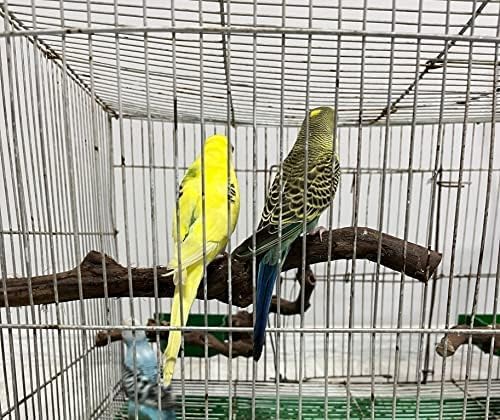 Bird perches Bird Perch Stand Perches - Image 4