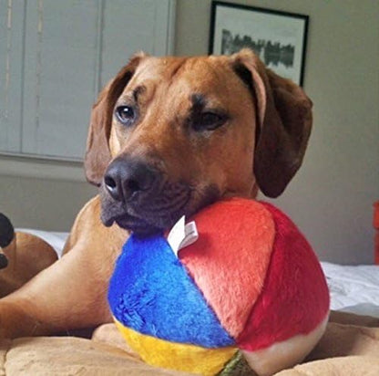 Fluff & Tuff Beach Ball - Image 2
