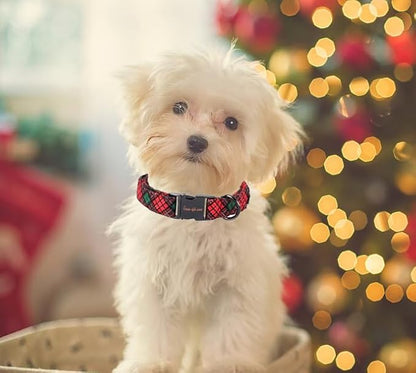 Unique style paws Dog Collar Metal Buckle Puppy Collar - Image 5