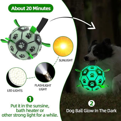 QDAN Glow in The Dark Dog Toys Soccer Ball - Image 6