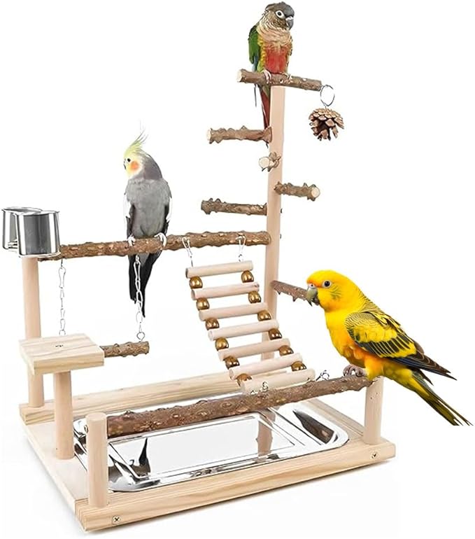 Bird Playground Parrot Playstand, Parrot Stand, Bird Wood Tall Standing Block by DbeansFlourithing