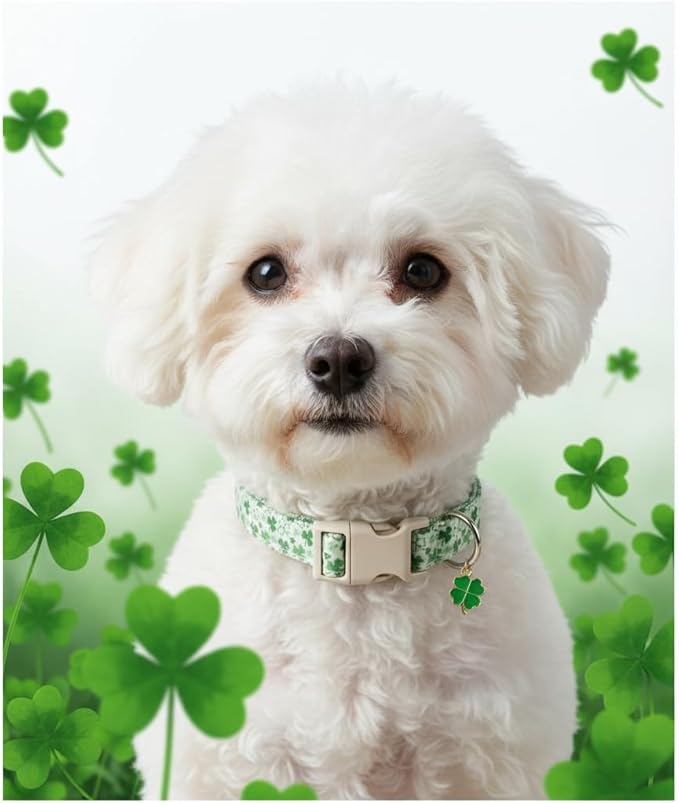 St. Patrick's Day Dog Collar, Cute Dog Collar - Image 7