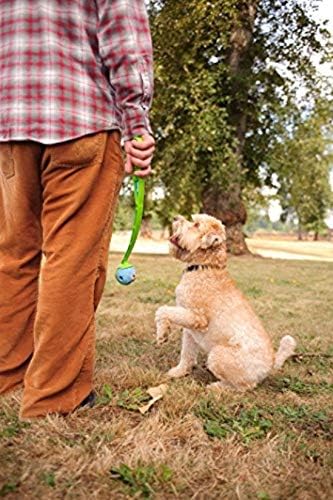 Chuckit Gen 1 Fetch Pack Dog Balls - Image 7