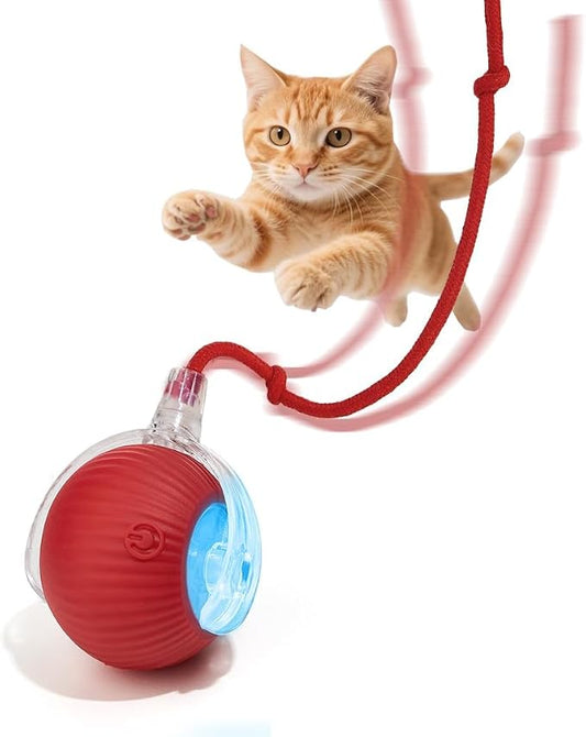 Interactive Dog Cat Toy Ball, Upgraded Rechargable Smart Automatic Rolling Pet by Unknown