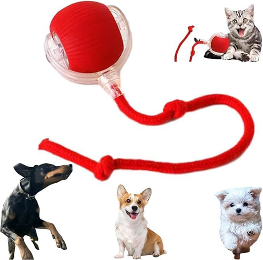 Valentines Day Gifts 2025 New Electric Dog Ball Toy, Electric Ball Dog Toy by AUTRETY