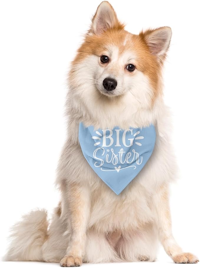 Big Sister Dog Bandanas, Light Blue Pet Scarf Accessories, Pet Triangle Scarf - Image 2