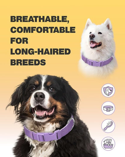 Dynmeow Soft and Breathable Cotton Dog Collar, Durable Adjustable Heavy-Duty - Image 5
