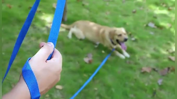 AMAGOOD Long Dog Leash for Training 15FT 20FT 30FT 50FT 100FT Long Dog Lead for - Image 6