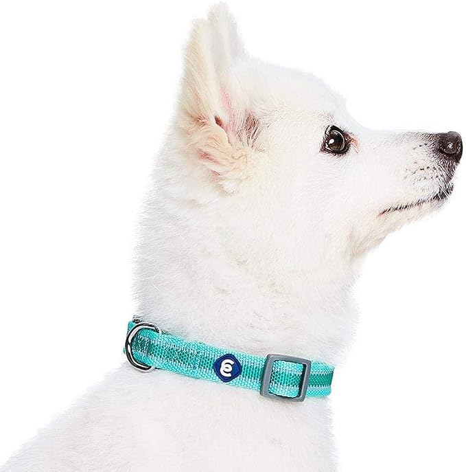 Blueberry Pet Essentials Matching Large Dog Collar | Adjustable Classic Solid - Image 6