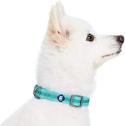 Blueberry Pet Essentials Matching Large Dog Collar | Adjustable Classic Solid - Image 6