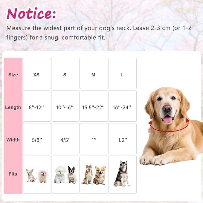 Dog Collar for Medium Dogs, Spring Pink Dog Collars - Image 2