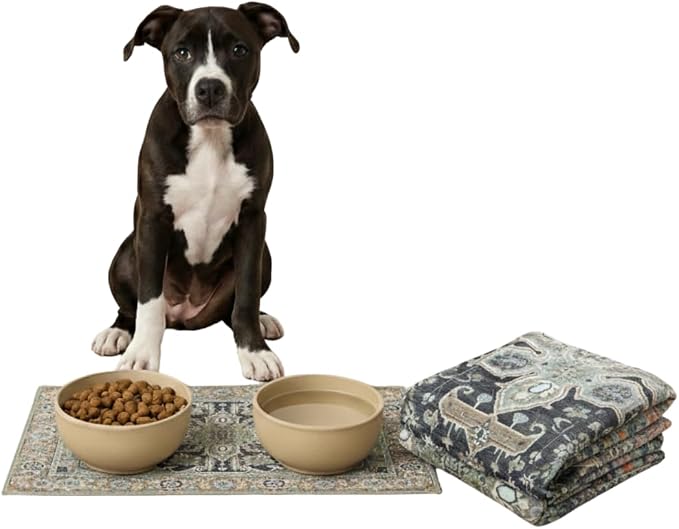 LOVEWAG Waterproof 2-Pack Pet Feeding Mats by Lovewag