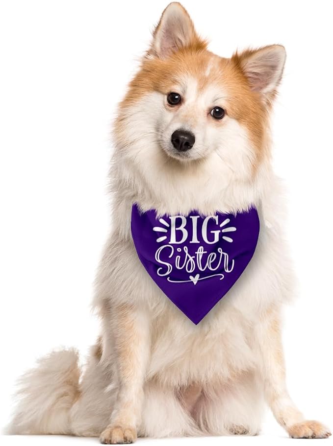 Big Sister Dog Bandana, Pet Scarf Accessories, Pet Triangle Scarf, Dogs Bandanas - Image 2