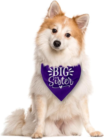 Big Sister Dog Bandana, Pet Scarf Accessories, Pet Triangle Scarf, Dogs Bandanas - Image 2
