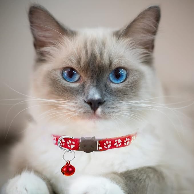 2 Pack Cat Collars Quick Release Reflective Kitten Collar - Image 4