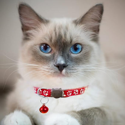 2 Pack Cat Collars Quick Release Reflective Kitten Collar - Image 4