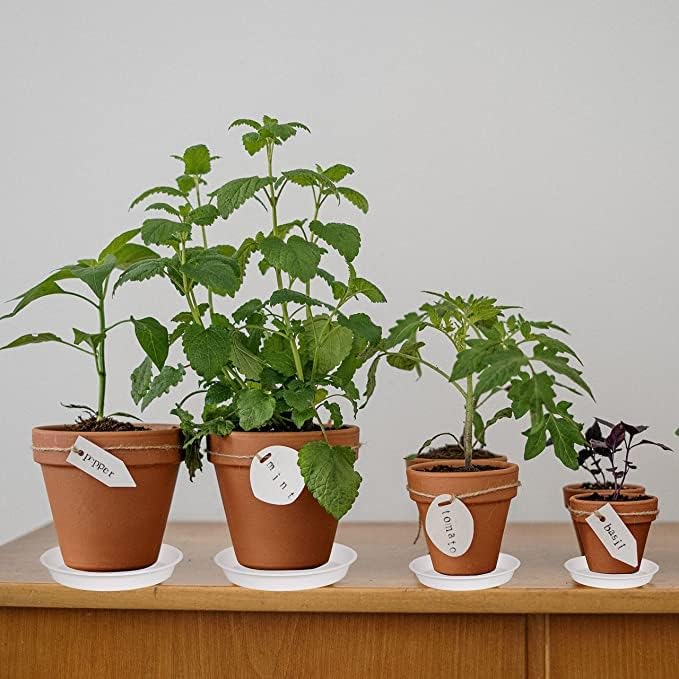 6 Pack Plastic White Plant Saucers - Image 2