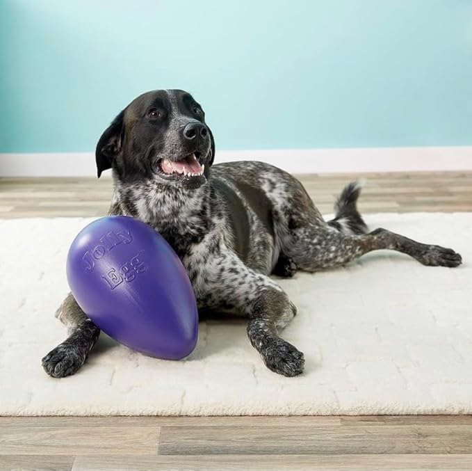 Jolly Pets Jolly Egg Dog Toy, 12 Inches/Large - Image 6