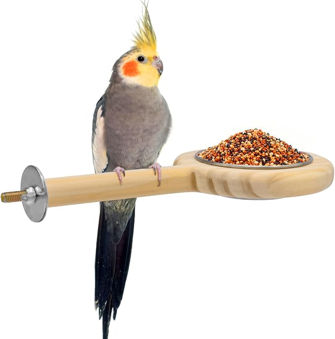 KATUMO Bird Perch Bird Feeding Cup Parrot Wood Perch Stand Toy Bird Cage by KATUMO